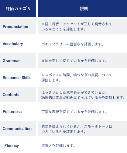 レベル評価テストの評価項目